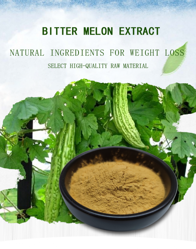 BAK Weight Loss Supplement Powder 10 Bitter Melon Extract ISO9001