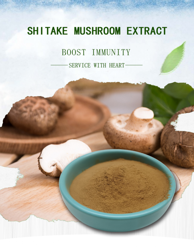 BAK Shiitake Mushroom Extract Brown Fine Powder Anti Cancer