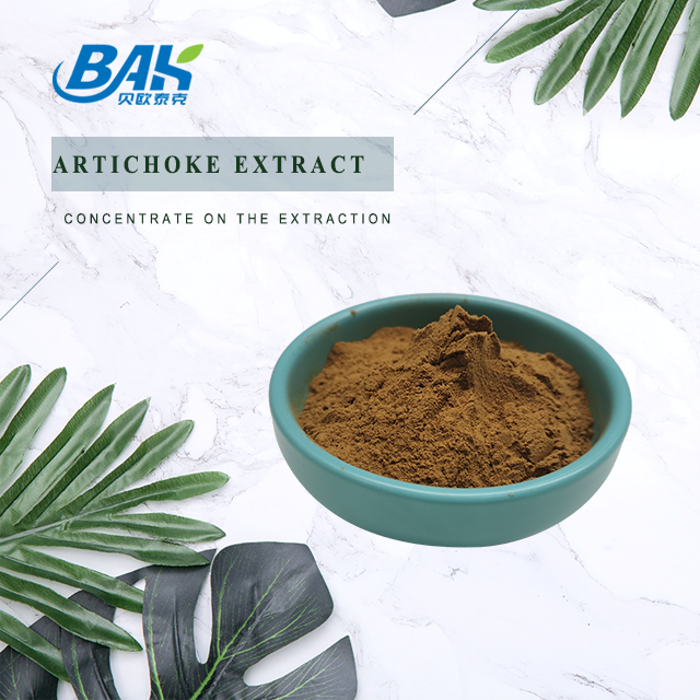 2.510 Liver Protection Supplement Cynarin Artichoke Extract