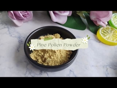 Pine pollen powder