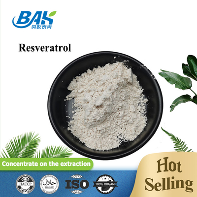 98% Immune Enhancing Supplements Polygonum Cuspidatum Extract Resveratrol powder