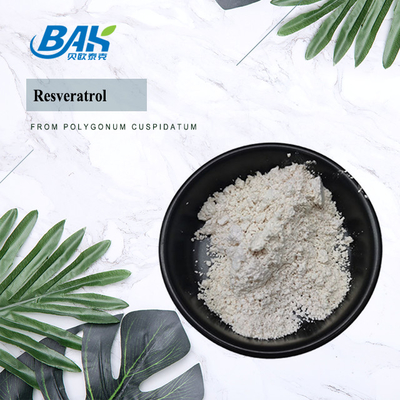 98% Immune Enhancing Supplements Polygonum Cuspidatum Extract Resveratrol powder