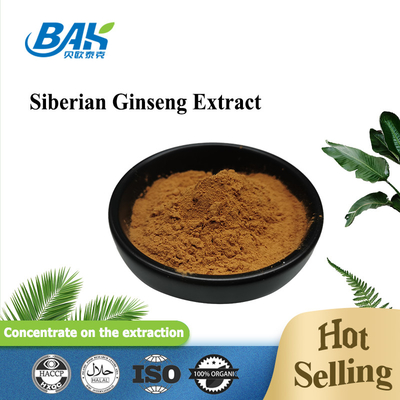 CAS 7374-79-0 Siberian Ginseng Extract Organic Eleutheroside B E