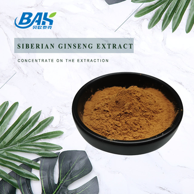 0.8% Eleutheroside Sleep Enhancing Supplement Siberian Ginseng Extract