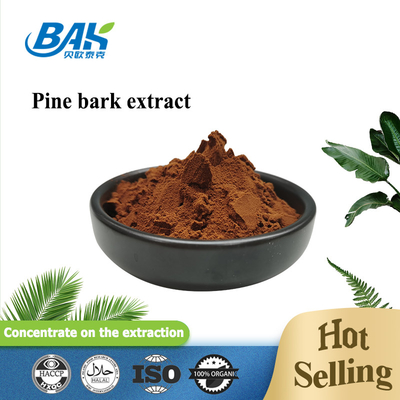 95% Anthocyanin Extract Supplement Pine Bark Extract