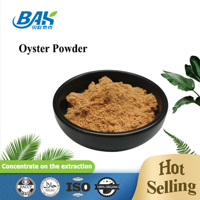 Pure Natural Fine Oyster Extract Powder 10/1 20/1
