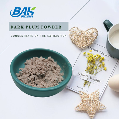 No Additives Fruit And Vegetable Powders 100% Dark Plum Fruit Powder