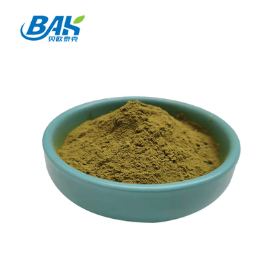 Oleuropein 10%-80% Immune Enhancing Supplements Olive Leaf Extract