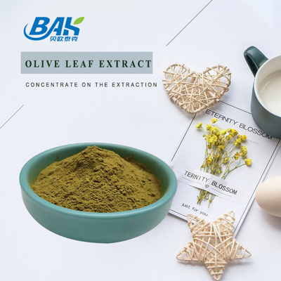 Oleuropein 10%-80% Immune Enhancing Supplements Olive Leaf Extract