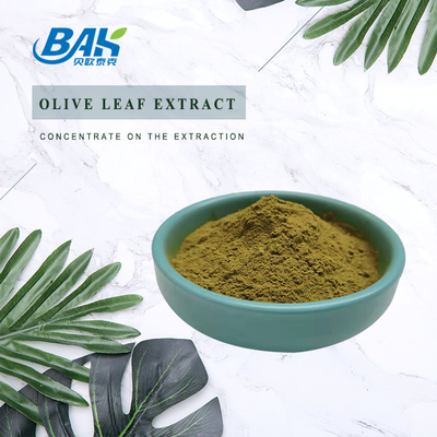 Oleuropein 10%-80% Immune Enhancing Supplements Olive Leaf Extract