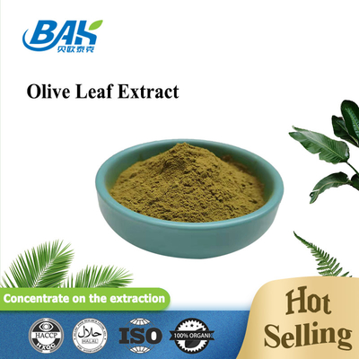 Oleuropein 10%-80% Immune Enhancing Supplements Olive Leaf Extract