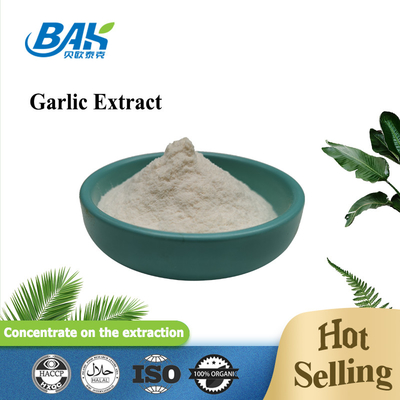 High Quality Garlic Extract 1% - 5% Allicin Powder Immune Enhancing Supplements Antibacterial