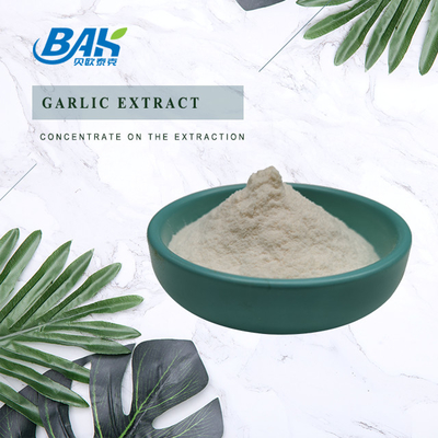 High Quality Garlic Extract 1% - 5% Allicin Powder Immune Enhancing Supplements Antibacterial