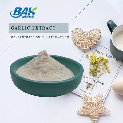 High Quality Garlic Extract 1% - 5% Allicin Powder Immune Enhancing Supplements Antibacterial