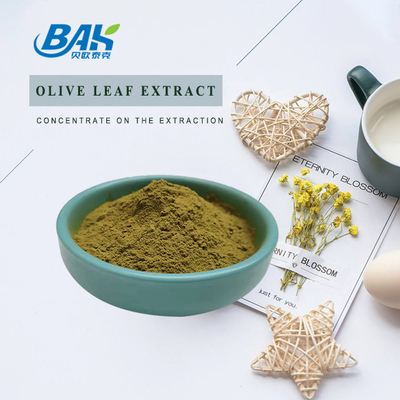 Anti Bacteria Immune Enhancing Supplements Ole Olive Leaf Extract