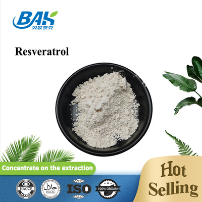 Natural Polygonum Cuspidatum Extract Resveratrol Powder Cosmetic Ingredients 10% - 98%