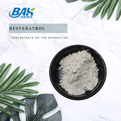 Natural Polygonum Cuspidatum Extract Resveratrol Powder Cosmetic Ingredients 10% - 98%