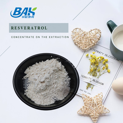 Natural Polygonum Cuspidatum Extract Resveratrol Powder Cosmetic Ingredients 10% - 98%