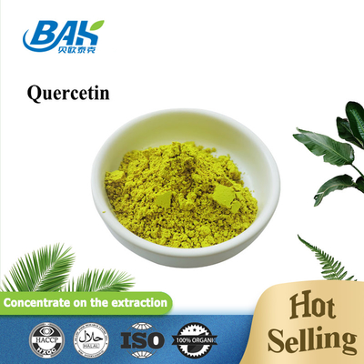 HPLC Sophora Japonica Extract 98% Quercetin Powder