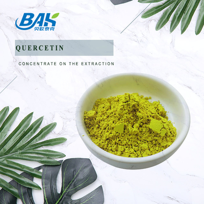 HPLC Sophora Japonica Extract 98% Quercetin Powder