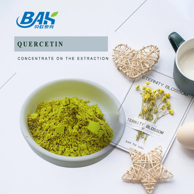 HPLC Sophora Japonica Extract 98% Quercetin Powder