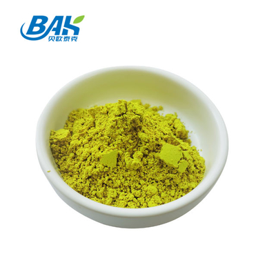 HPLC Sophora Japonica Extract 98% Quercetin Powder