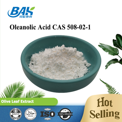 Oleanolic Acid 10% - 98% Immune Enhancing Supplements Olive Leaf Extract