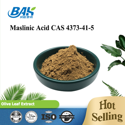 High Quality Blood Pressure Antiviral Olive Leaf Extract Maslinic Acid 10%-40%