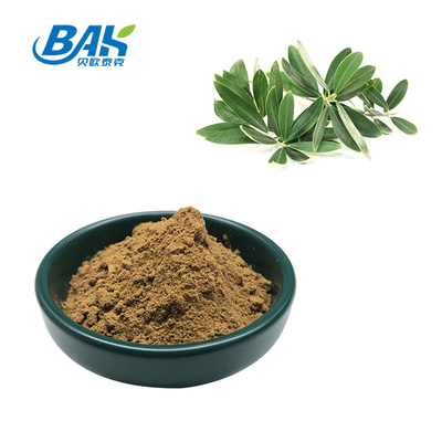 High Quality Blood Pressure Antiviral Olive Leaf Extract Maslinic Acid 10%-40%