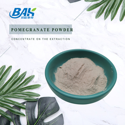 100% Natural Fruit And Vegetable Powders Pomegranate Fruit Powder