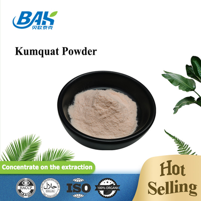 KOSHER Fruit And Vegetable Powders Kumquat Powder For Food Beverage Industry