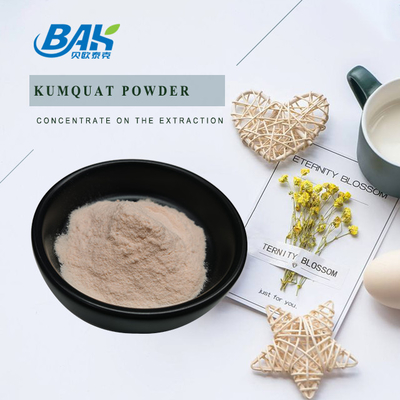KOSHER Fruit And Vegetable Powders Kumquat Powder For Food Beverage Industry