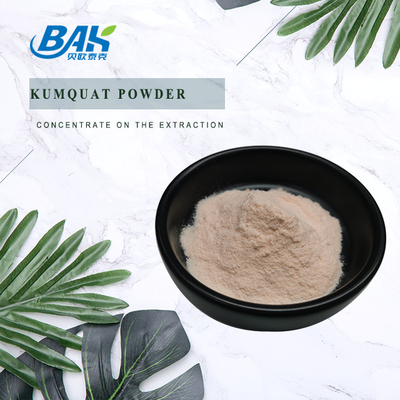 KOSHER Fruit And Vegetable Powders Kumquat Powder For Food Beverage Industry