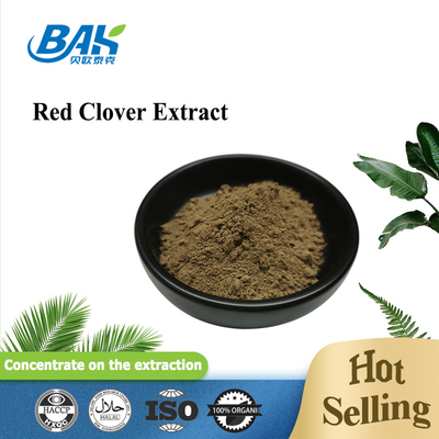 8%-40% Red Clover Extract For Menopause Hair Skin