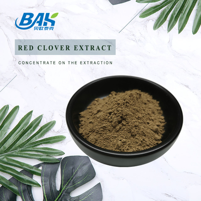 8%-40% Red Clover Extract For Menopause Hair Skin