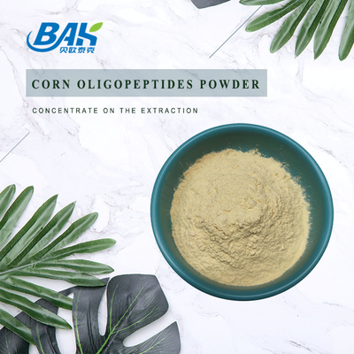 Anti Fatigue Sleep Enhancing Supplement Corn Oligopeptide Powder 80%