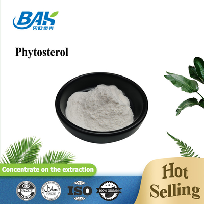 High Purity Phytosterol 95% Weight Loss Supplement Powder