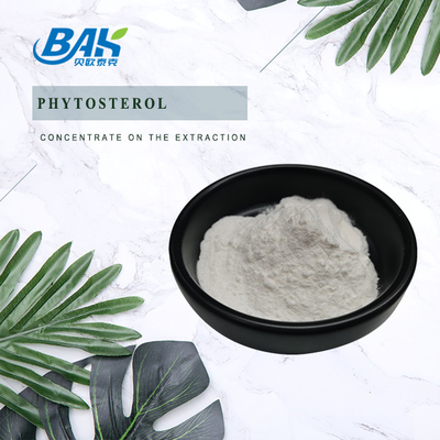 High Purity Phytosterol 95% Weight Loss Supplement Powder