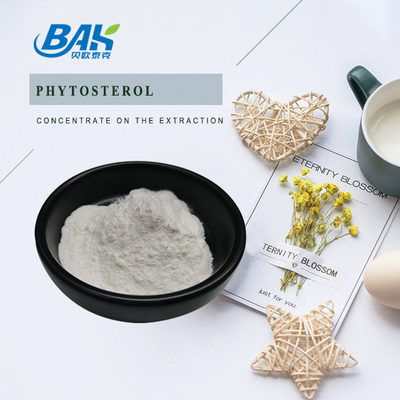 High Purity Phytosterol 95% Weight Loss Supplement Powder