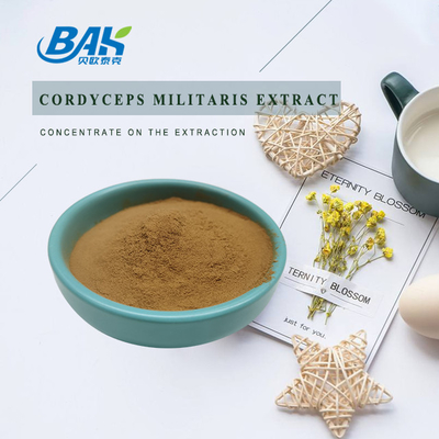 Immune Enhancing Cordyceps Militaris Extract 10%-50% Polysaccharides