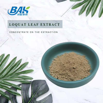SC Loquat Leaf Extract Weight Loss Supplement Powder