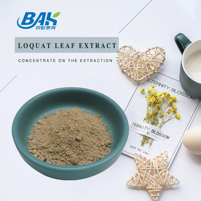 SC Loquat Leaf Extract Weight Loss Supplement Powder