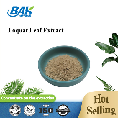 SC Loquat Leaf Extract Weight Loss Supplement Powder