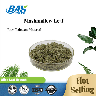 100% Natural Mashmallow Leaf Raw Tobacco Material 3-5mm