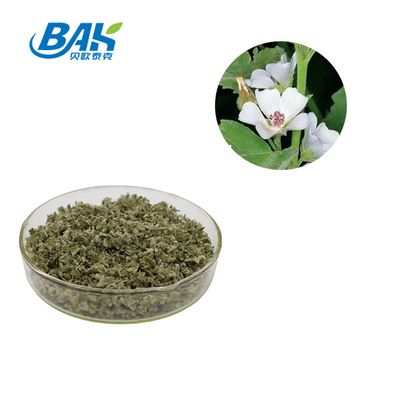 100% Natural Mashmallow Leaf Raw Tobacco Material 3-5mm