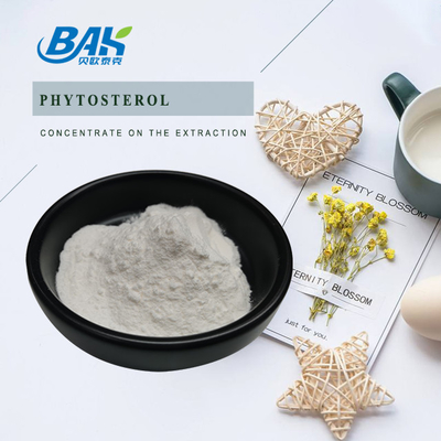 Phytosterol 95% Weight Loss Supplement Powder