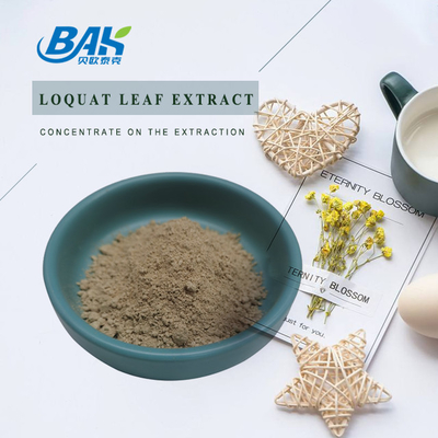 Loquat Leaf Extract Corosolic Acid
