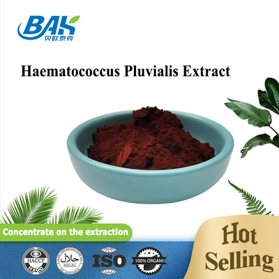 Antioxidant Haematococcus Pluvialis Powder Pure Natural Astaxanthin Powder