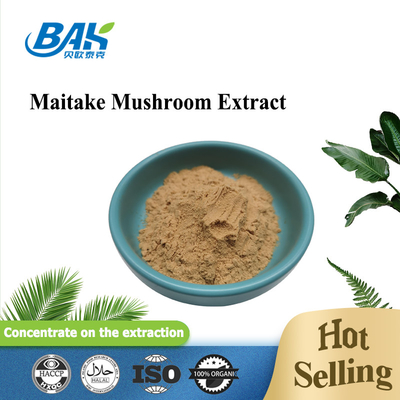 Pure Natural Immune Enhancing Supplements Maitake Mushroom Extract Powder