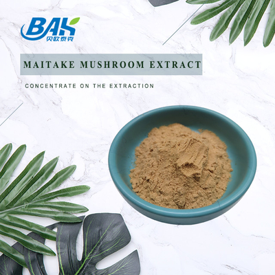 Pure Natural Immune Enhancing Supplements Maitake Mushroom Extract Powder